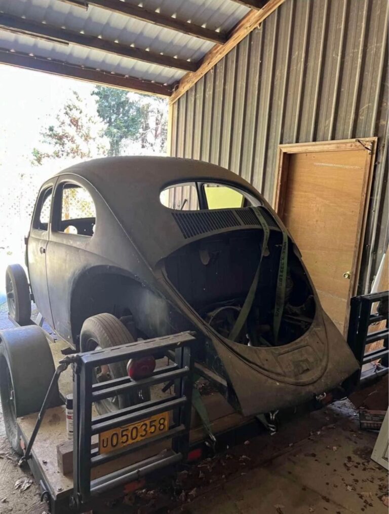 1955-vw-beetle-std-oval-silver-lining-auto-restoration4